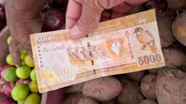 போலி நாணயத்தாள் மோசடி; சந்தேகநபர் தப்பியோட்டம் ! 